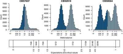 Inferring Variation in Copy Number Using High Throughput Sequencing Data in R